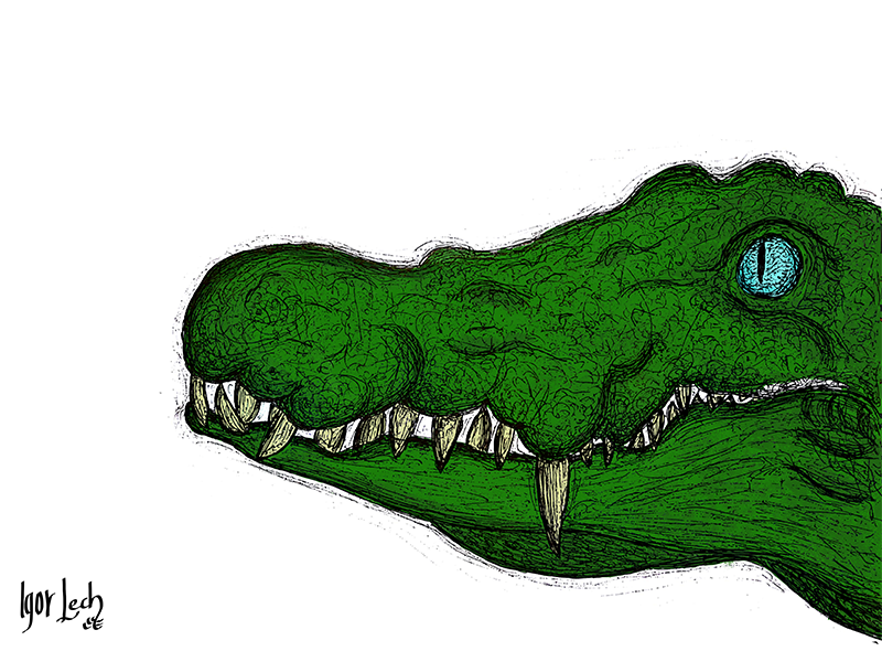 Graphic Example 11